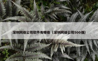 深圳网络公司软件有哪些（深圳网络公司500强）