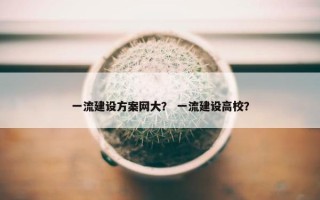 一流建设方案网大？ 一流建设高校？