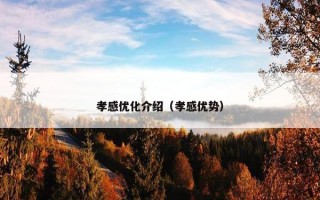 孝感优化介绍（孝感优势）