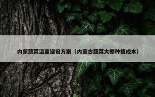 内蒙蔬菜温室建设方案（内蒙古蔬菜大棚种植成本）
