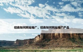 招商如何网站推广，招商如何网站推广产品