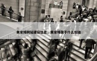 黄家埠网站建设信息，黄家埠属于什么街道