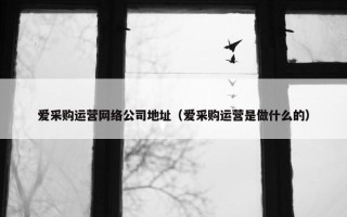 爱采购运营网络公司地址（爱采购运营是做什么的）