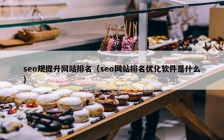 seo规提升网站排名（seo网站排名优化软件是什么）