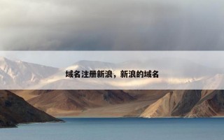 域名注册新浪，新浪的域名