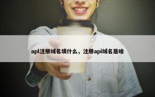 apl注册域名填什么，注册api域名是啥