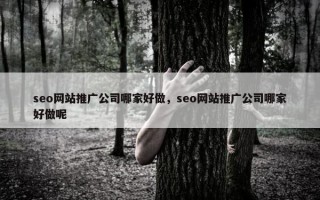 seo网站推广公司哪家好做，seo网站推广公司哪家好做呢