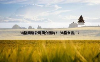 鸿格网络公司简介图片？ 鸿格食品厂？