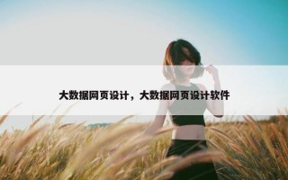 大数据网页设计，大数据网页设计软件