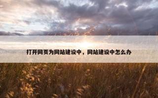 打开网页为网站建设中，网站建设中怎么办