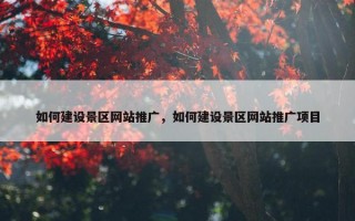 如何建设景区网站推广，如何建设景区网站推广项目