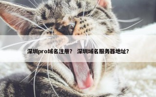 深圳pro域名注册？ 深圳域名服务器地址？
