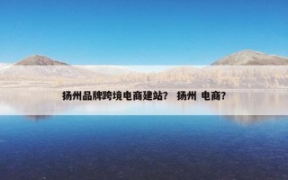 扬州品牌跨境电商建站？ 扬州 电商？