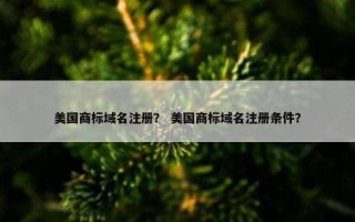 美国商标域名注册？ 美国商标域名注册条件？