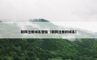 新网注册域名登陆（新网注册的域名）