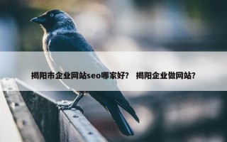 揭阳市企业网站seo哪家好？ 揭阳企业做网站？