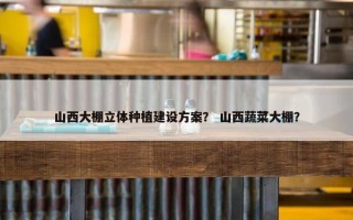 山西大棚立体种植建设方案？ 山西蔬菜大棚？