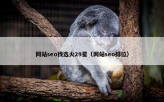 网站seo找选火29星（网站seo排位）