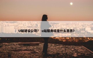 U站建设公司？ u站服务组是什么意思？