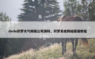 dede织梦大气网络公司源码，织梦系统网站搭建教程