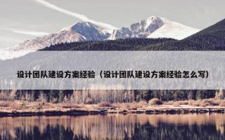 设计团队建设方案经验（设计团队建设方案经验怎么写）