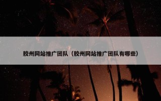 胶州网站推广团队（胶州网站推广团队有哪些）