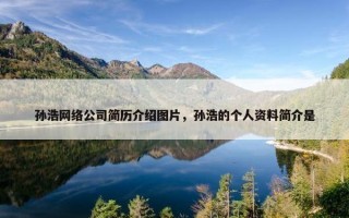 孙浩网络公司简历介绍图片，孙浩的个人资料简介是