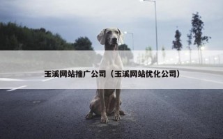 玉溪网站推广公司（玉溪网站优化公司）