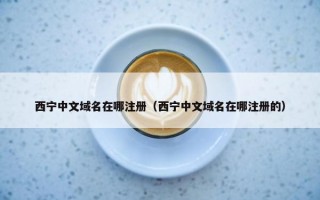 西宁中文域名在哪注册（西宁中文域名在哪注册的）