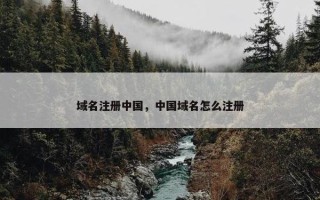 域名注册中国，中国域名怎么注册