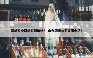 聊城专业网络公司价格？ 山东网络公司客服电话？