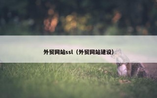 外贸网站ssl（外贸网站建设）