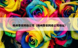 朔州泰安网络公司（朔州泰安网络公司地址）