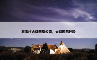 石家庄大尊网络公司，大尊国际控股