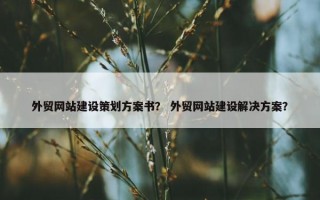 外贸网站建设策划方案书？ 外贸网站建设解决方案？