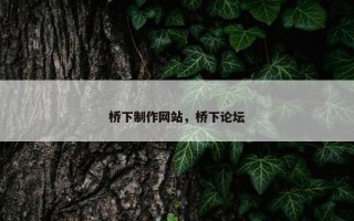 桥下制作网站，桥下论坛