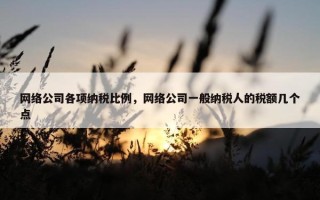 网络公司各项纳税比例，网络公司一般纳税人的税额几个点
