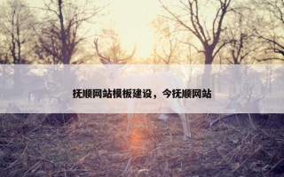 抚顺网站模板建设，今抚顺网站