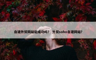 自建外贸网站能成功吗？ 外贸soho自建网站？