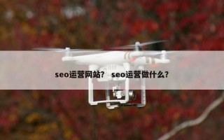 seo运营网站？ seo运营做什么？