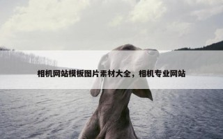 相机网站模板图片素材大全，相机专业网站