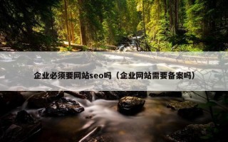 企业必须要网站seo吗（企业网站需要备案吗）