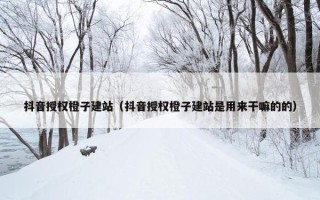 抖音授权橙子建站（抖音授权橙子建站是用来干嘛的的）