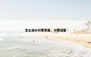 怎么设计付费页面，付费设置