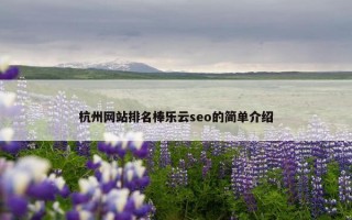 杭州网站排名棒乐云seo的简单介绍