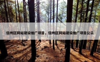 信州区网站建设推广项目，信州区网站建设推广项目公示