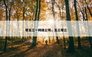 零五三一网络公司，五三零三