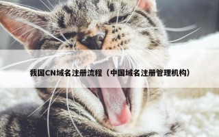 我国CN域名注册流程（中国域名注册管理机构）