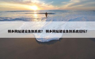 桐乡网站建设鱼刺系统？ 桐乡网站建设鱼刺系统招标？