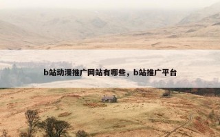 b站动漫推广网站有哪些，b站推广平台